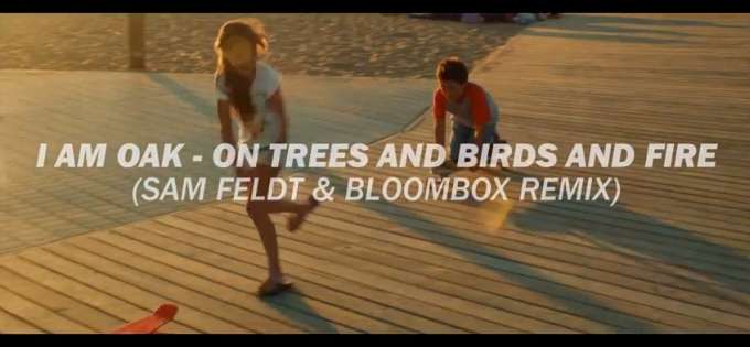 I Am Oak On Trees and Birds and Fire video traduzione testo