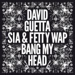 David Guetta Bang My Head Sia Fatty Wap