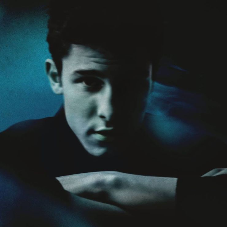 Shawn Mendes There's Nothing Holdin' Me Back